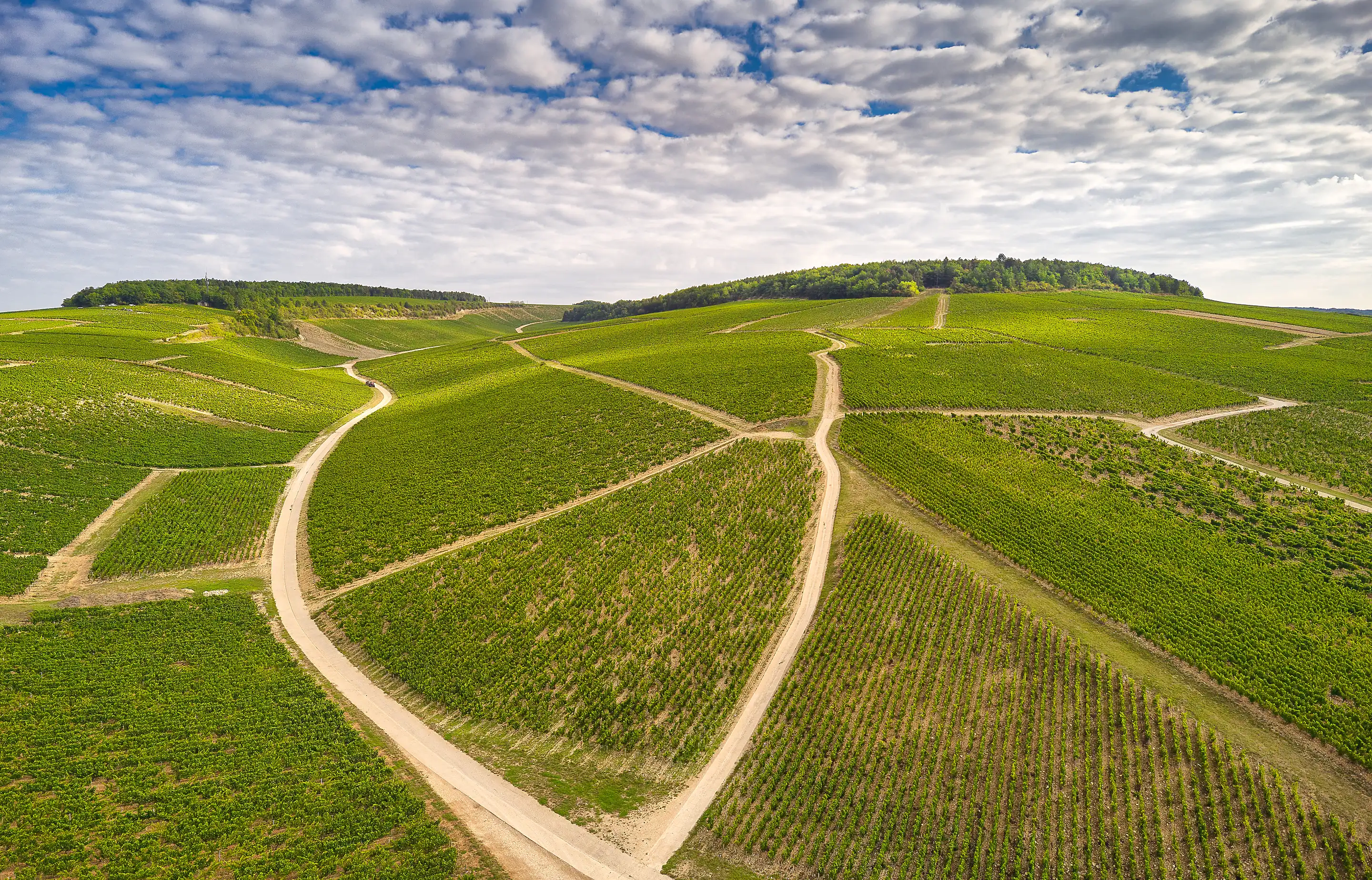 Aerial view of vine-covered slopes in Chablis crossed by pale chalky tracks, a wooded crest above, broken cloud overhead