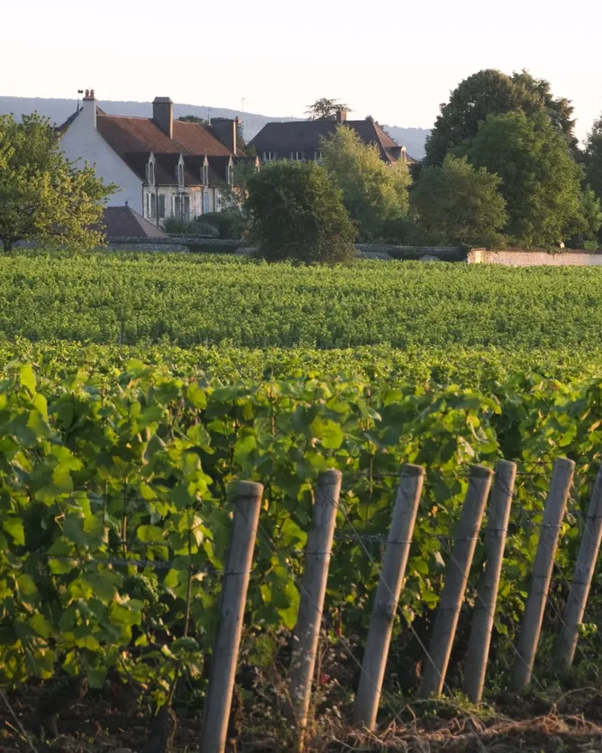Domaine Dujac