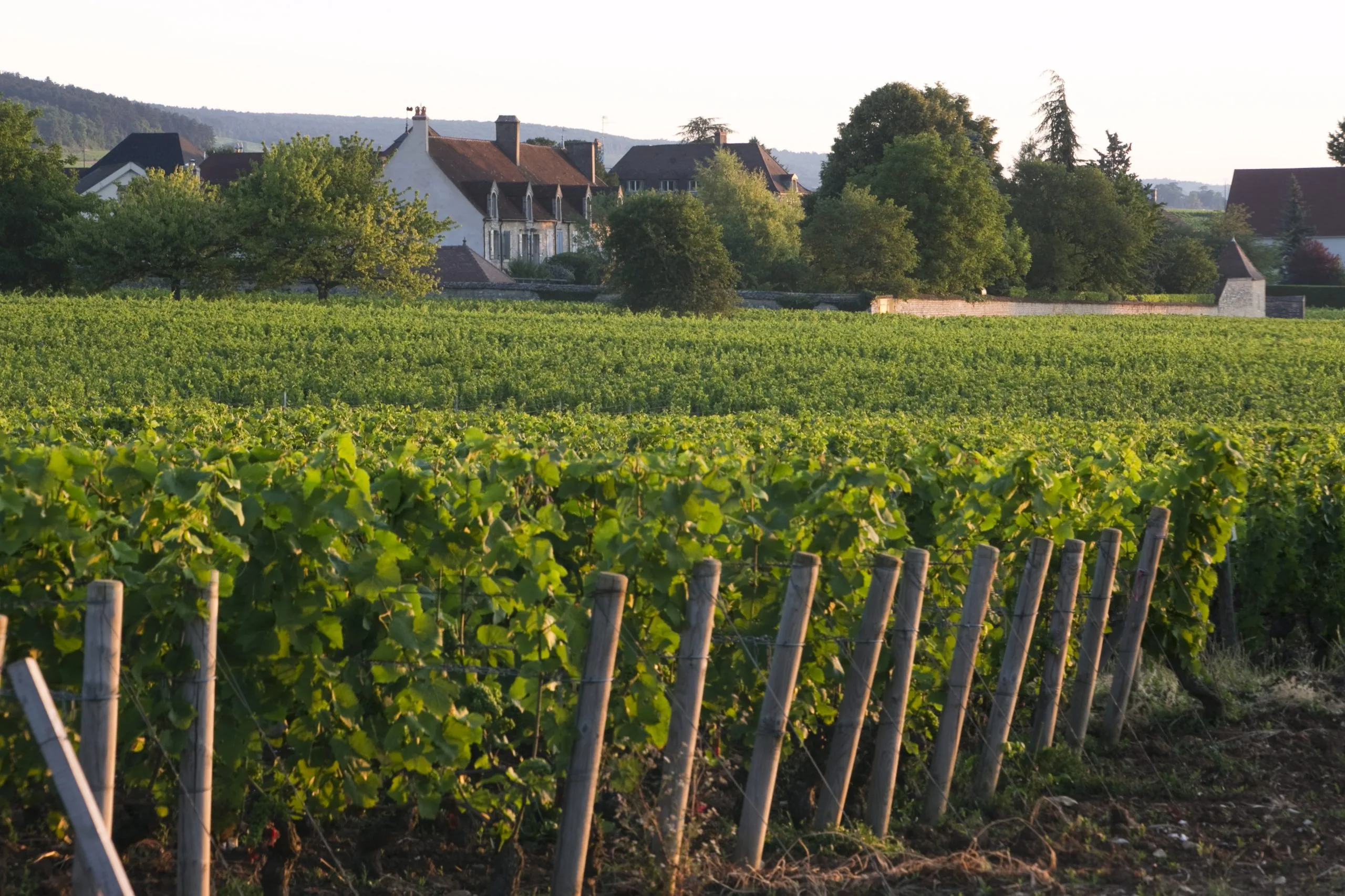 Domaine Dujac