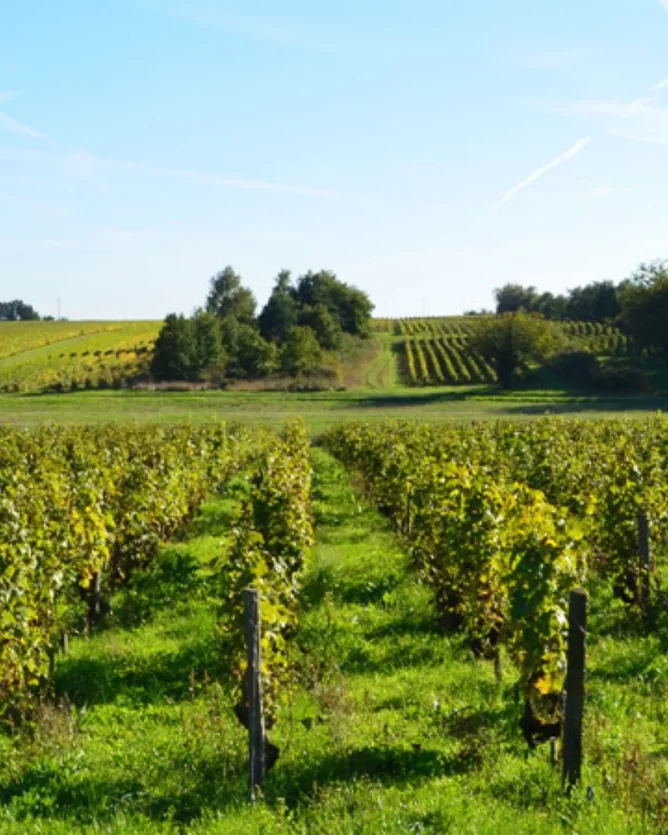 Domaine François Chidaine