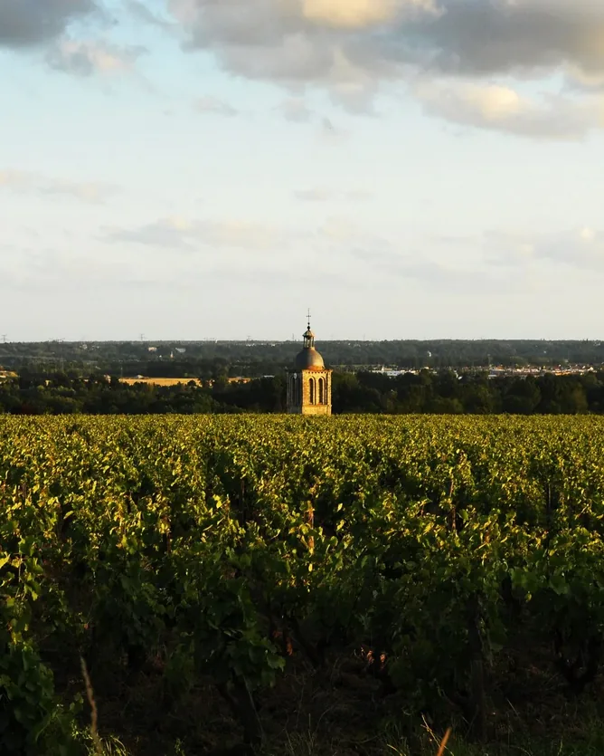 Domaine Huet