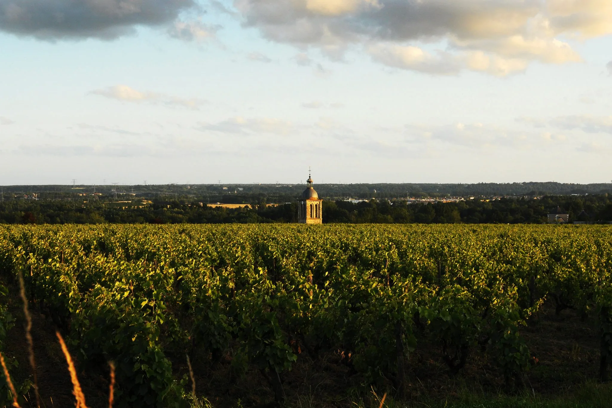 Domaine Huet