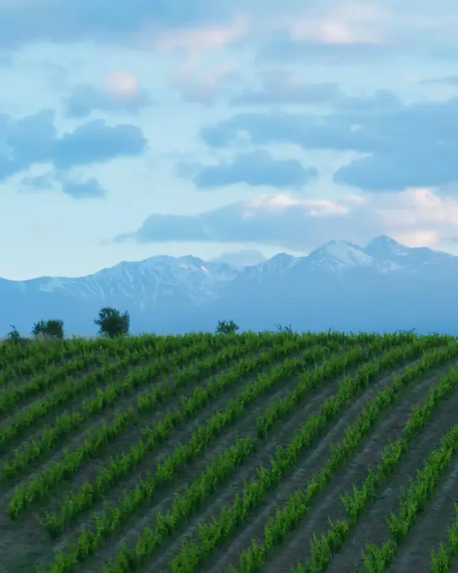 Domaine Le Roc des Anges &mdash; verified Wine producer