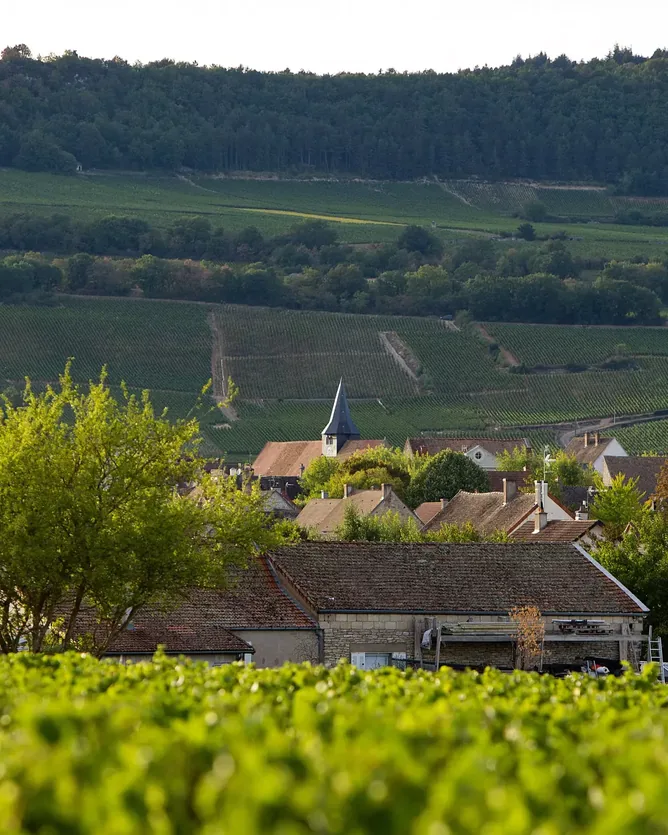 Domaine Leflaive