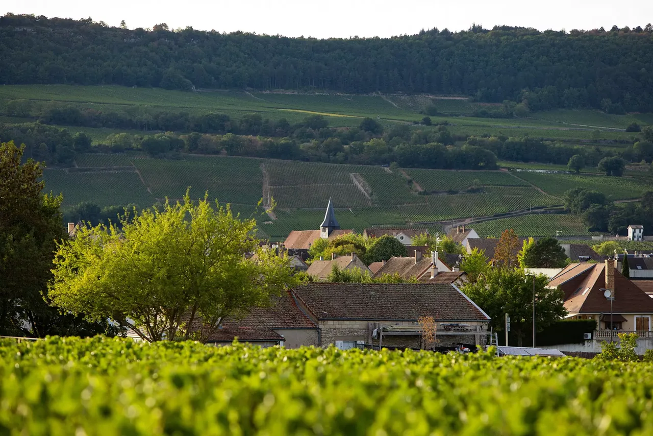 Domaine Leflaive