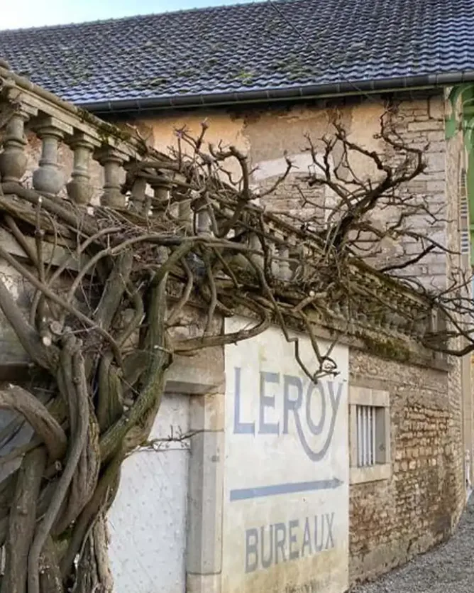 Domaine Leroy