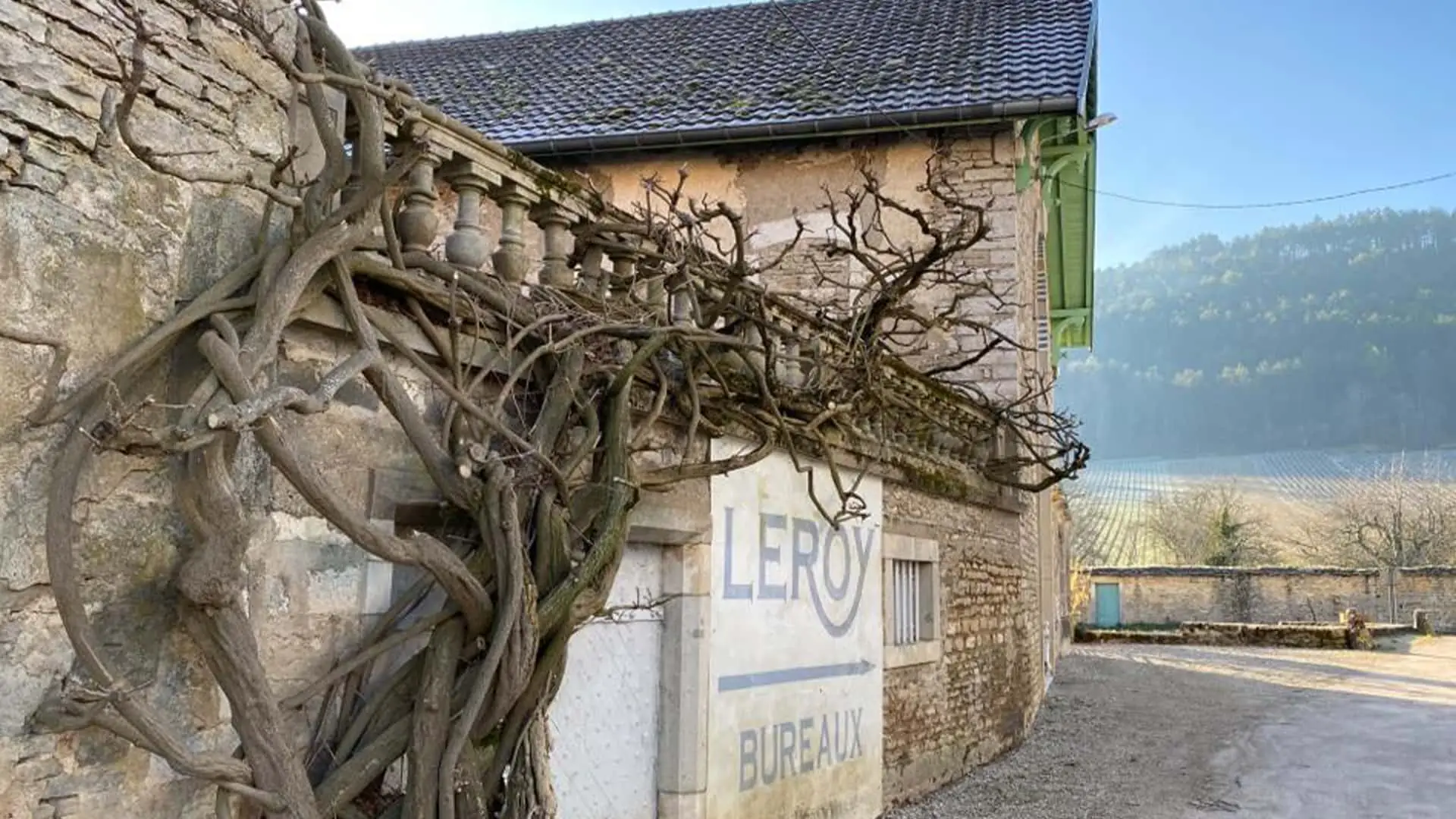 Domaine Leroy