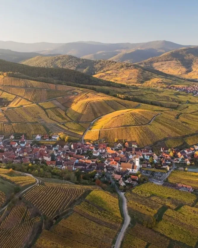 Domaine Marcel Deiss