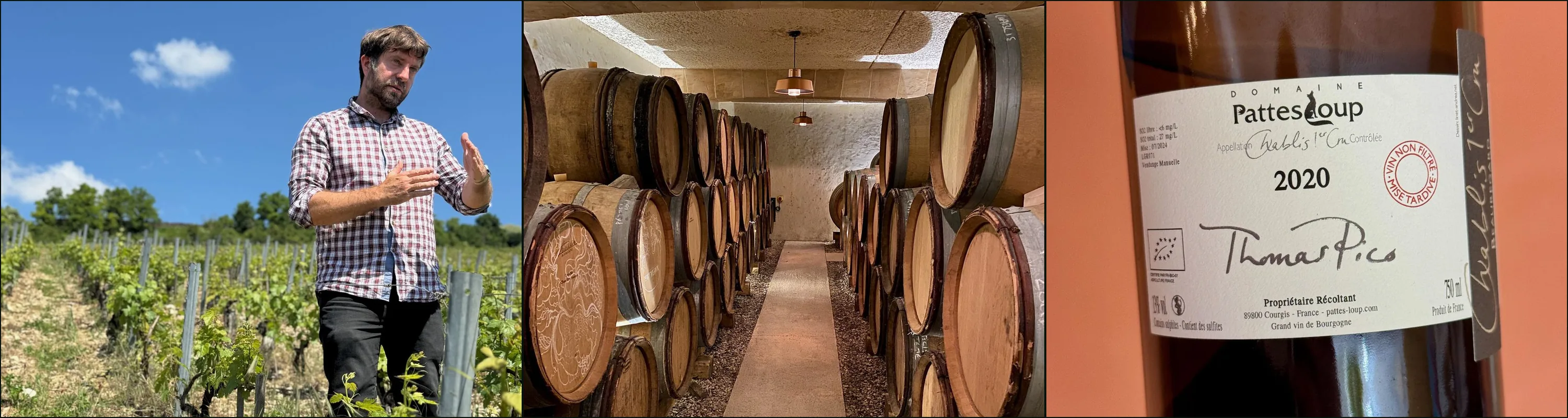 Three photographs: a man in a checked shirt talking among young vines, barrels stacked along a cellar corridor, a Domaine Pattes Loup back label