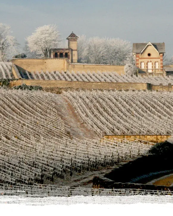 Domaine Pierre Morey