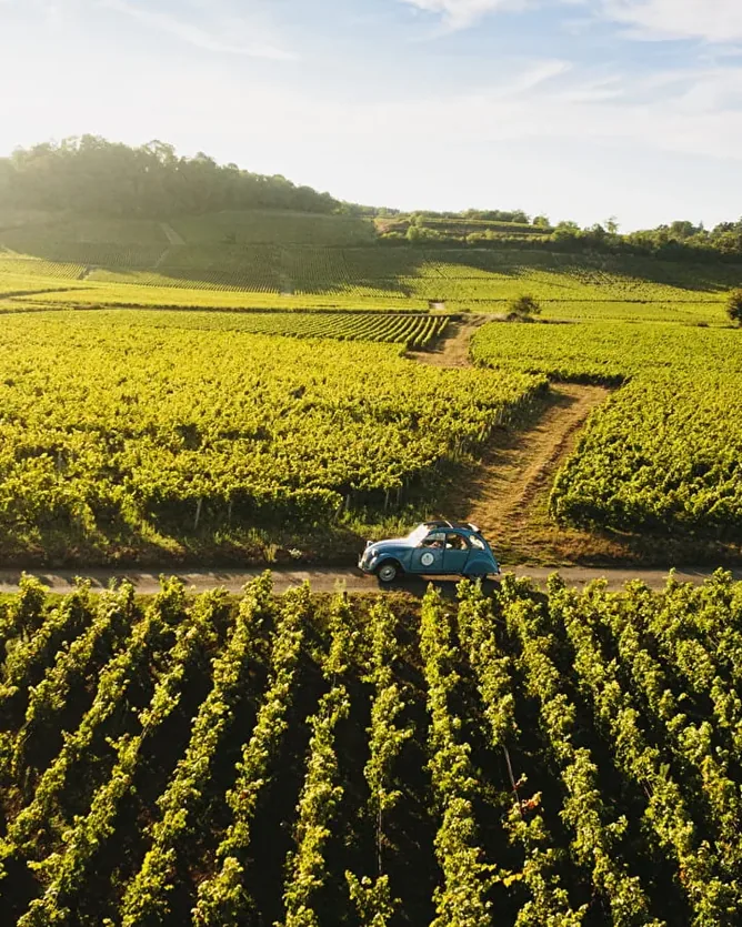 Domaine Roulot