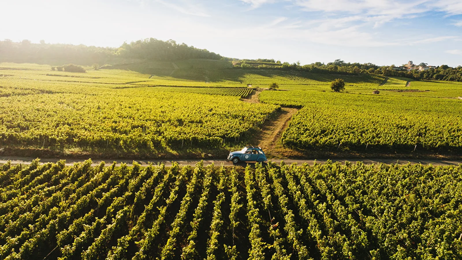 Domaine Roulot