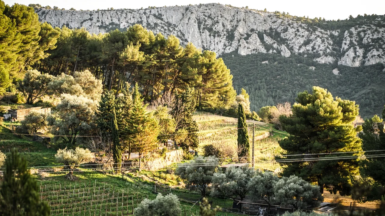 Domaine Tempier