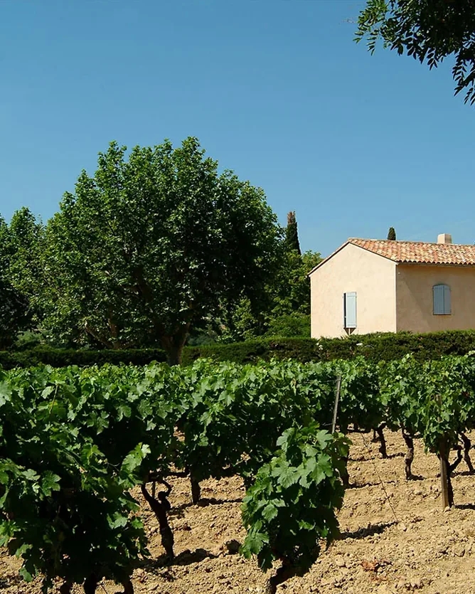 Domaine Tempier