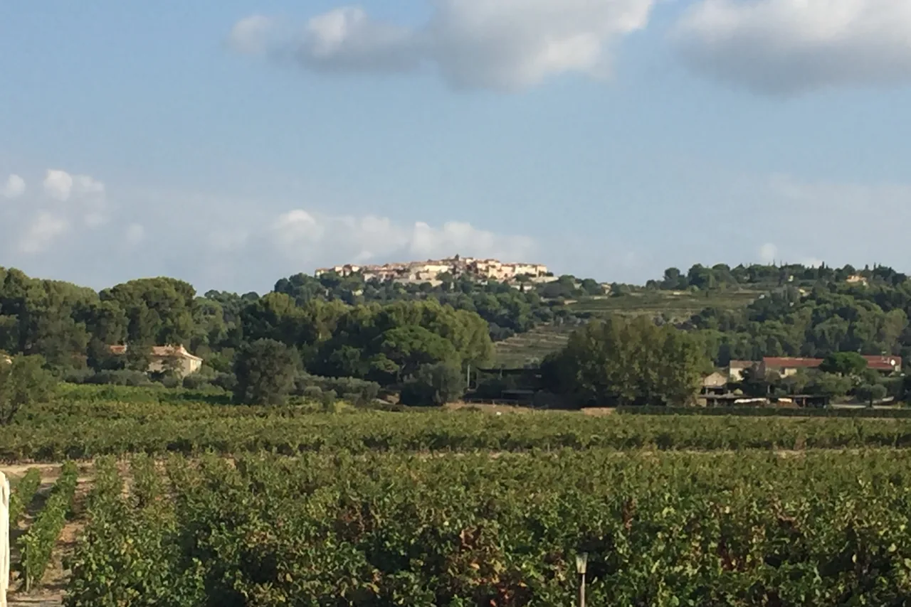 Domaine Tempier