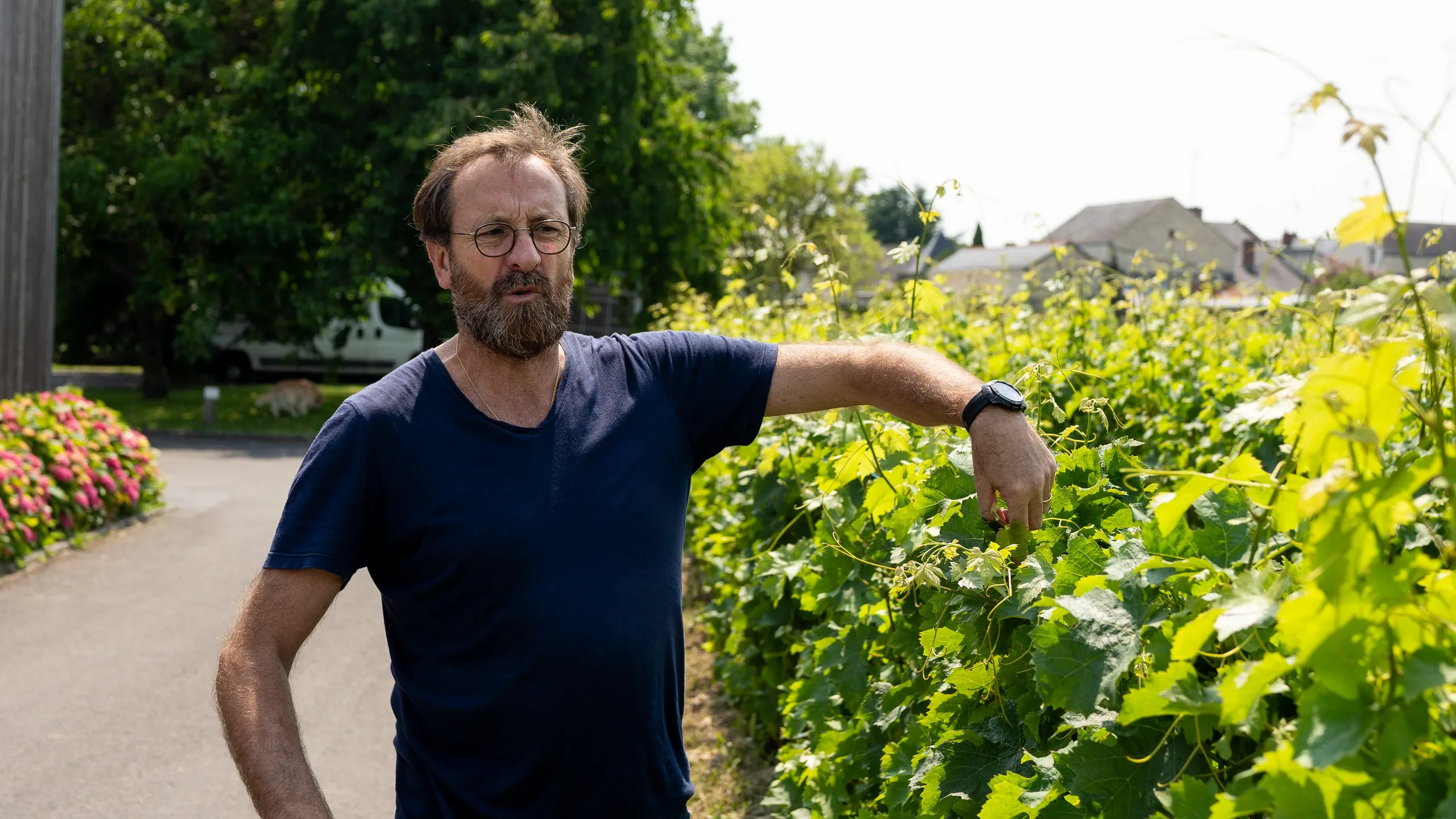 Domaine Thierry Germain / Roches Neuves