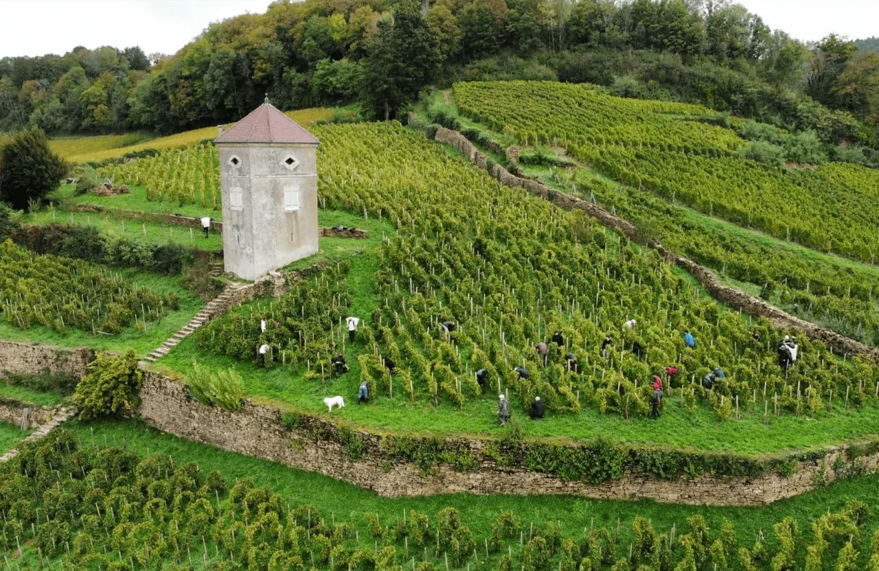 Domaine Tissot