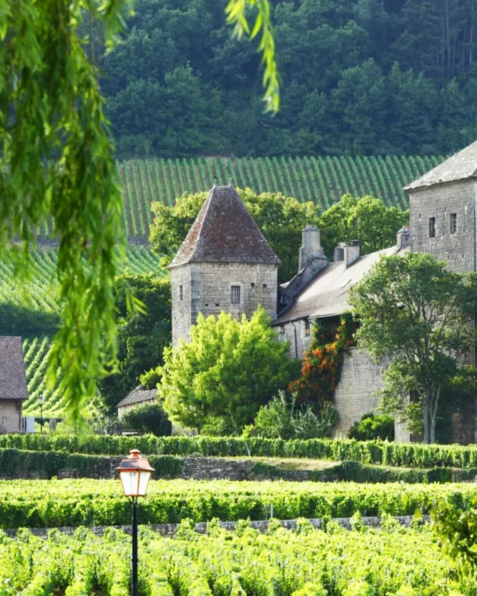 Domaine Trapet