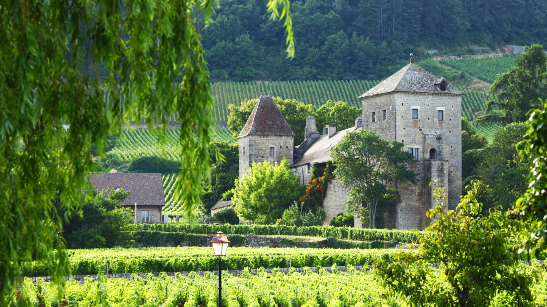 Domaine Trapet