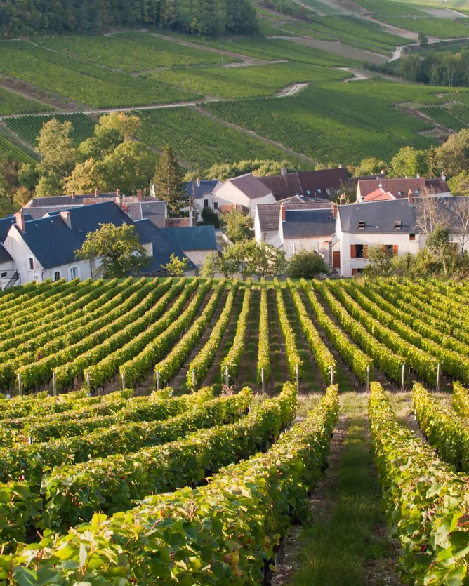 Domaine Vacheron