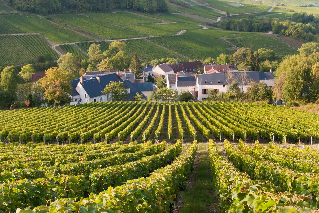 Domaine Vacheron