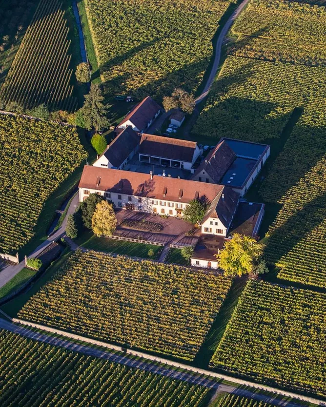 Domaine Weinbach
