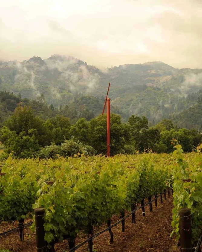 Eisele Vineyard &mdash; verified Wine producer