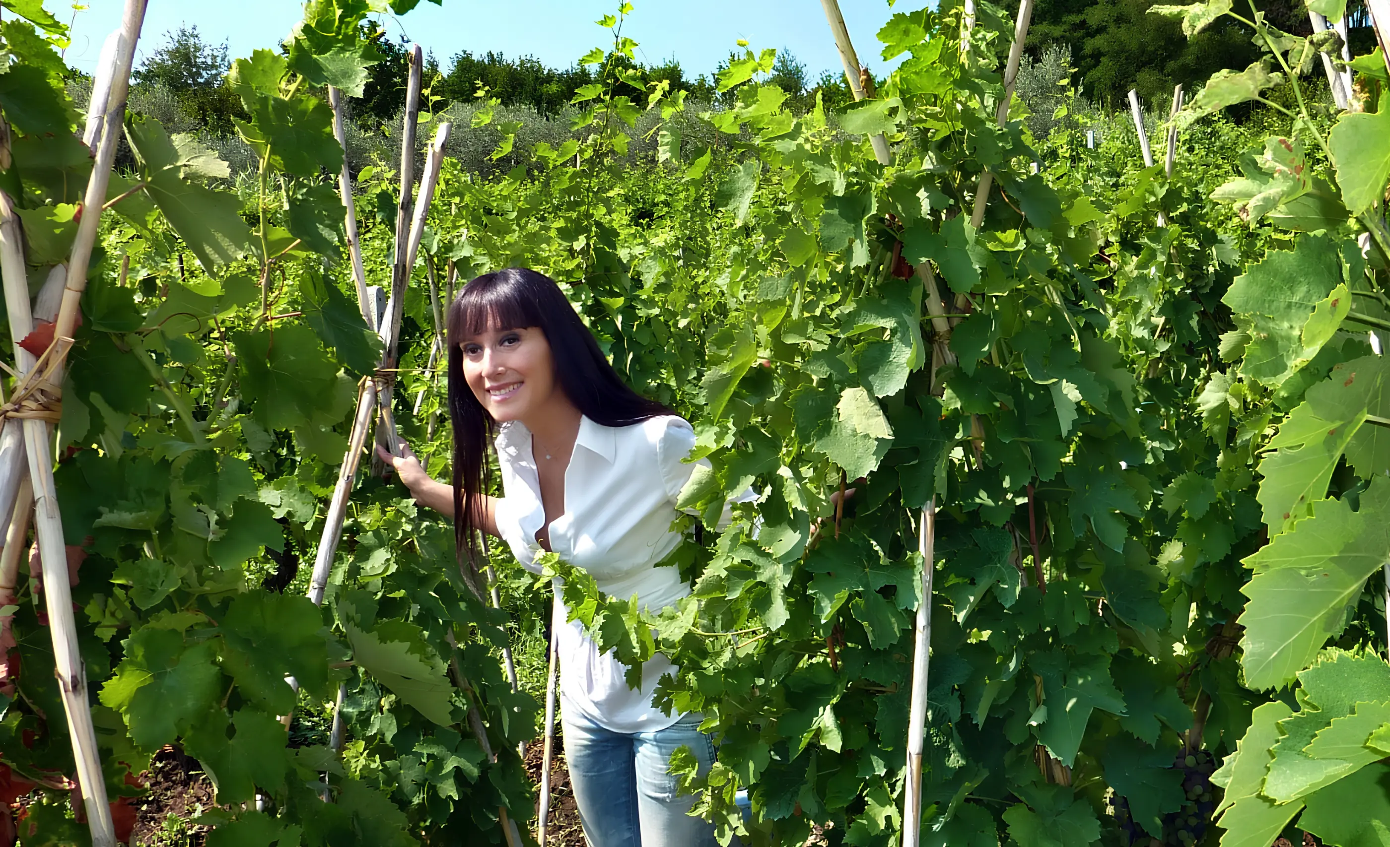 A smiling woman with long dark hair and a white blouse leans out between leafy vines trained up cane stakes