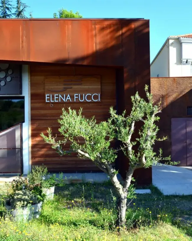 Elena Fucci &mdash; verified Wine producer