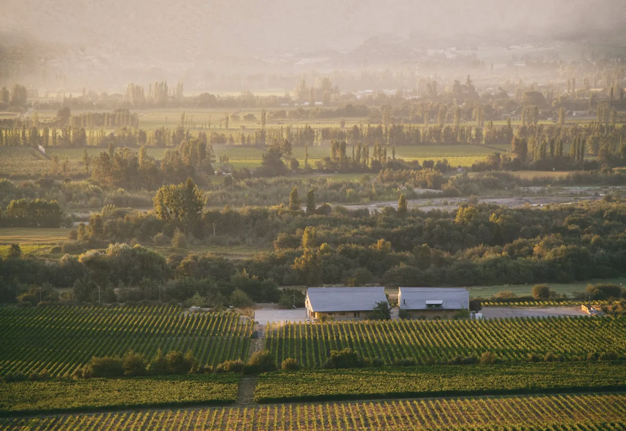Emiliana Organic Vineyards
