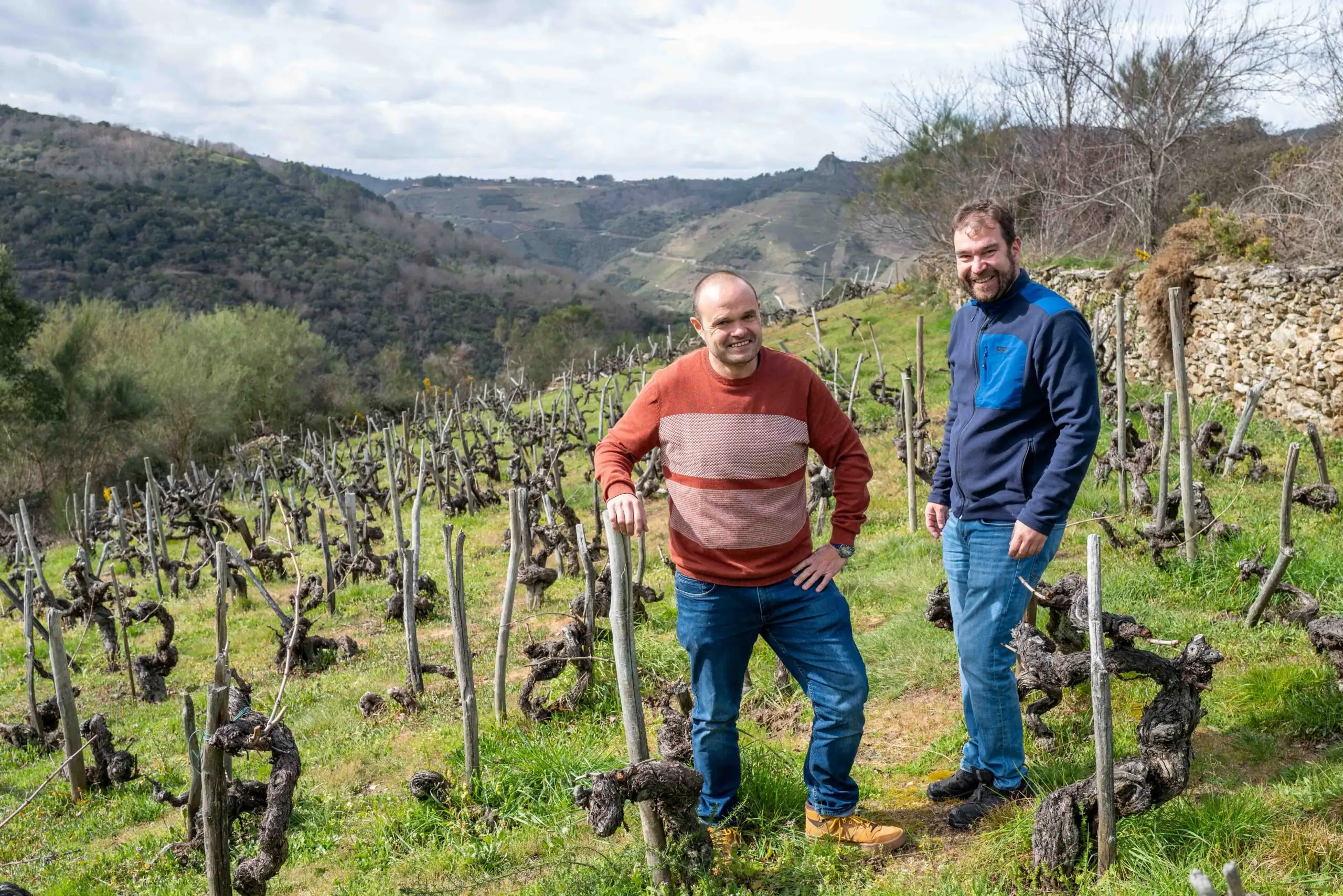 Two smiling men stand among old bush vines on a terraced slope, with a dry-stone wall at right and wooded hills behind