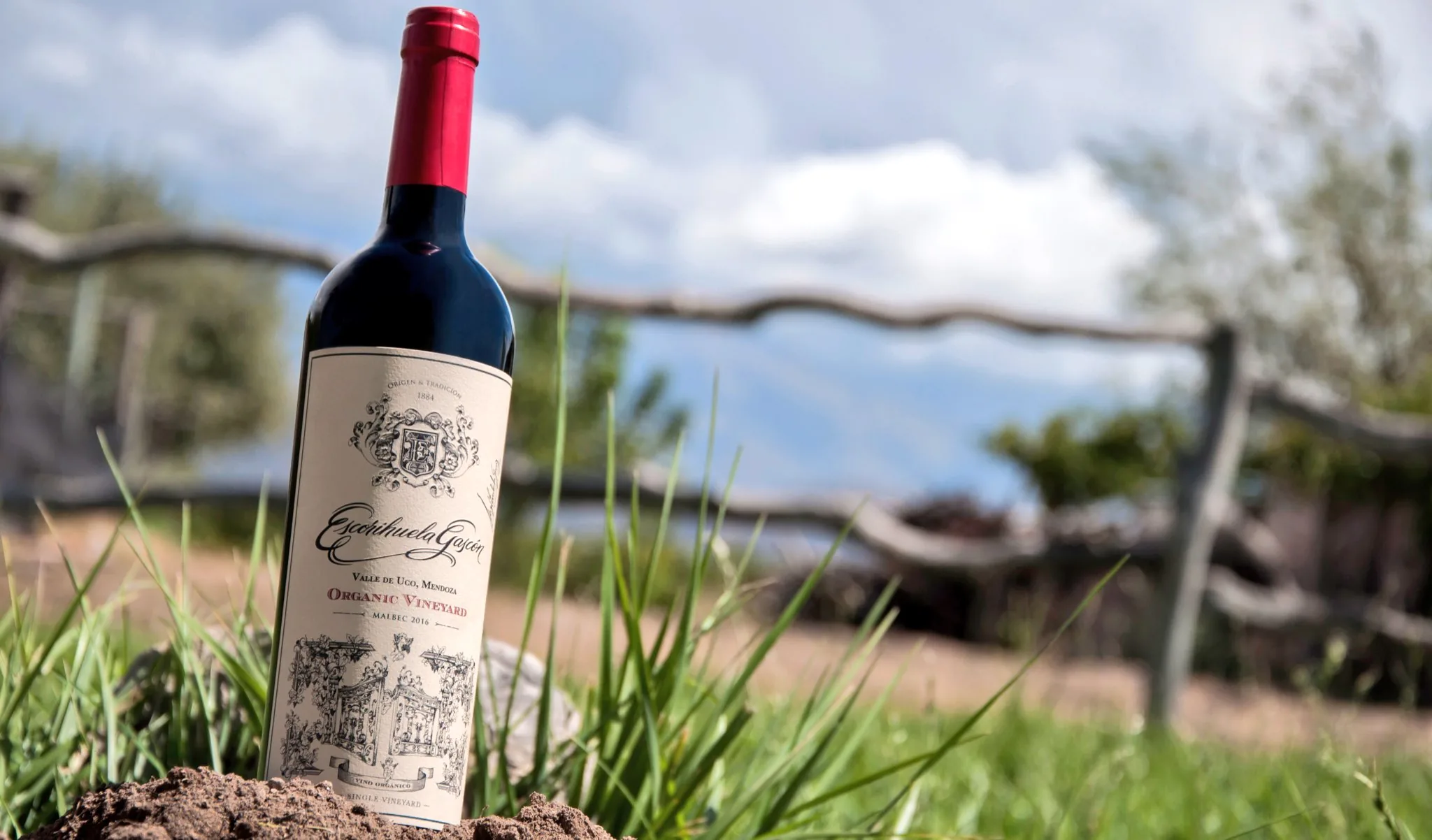 A bottle of Escorihuela Gascón Malbec standing in grass in front of a rustic wooden fence under a cloudy sky