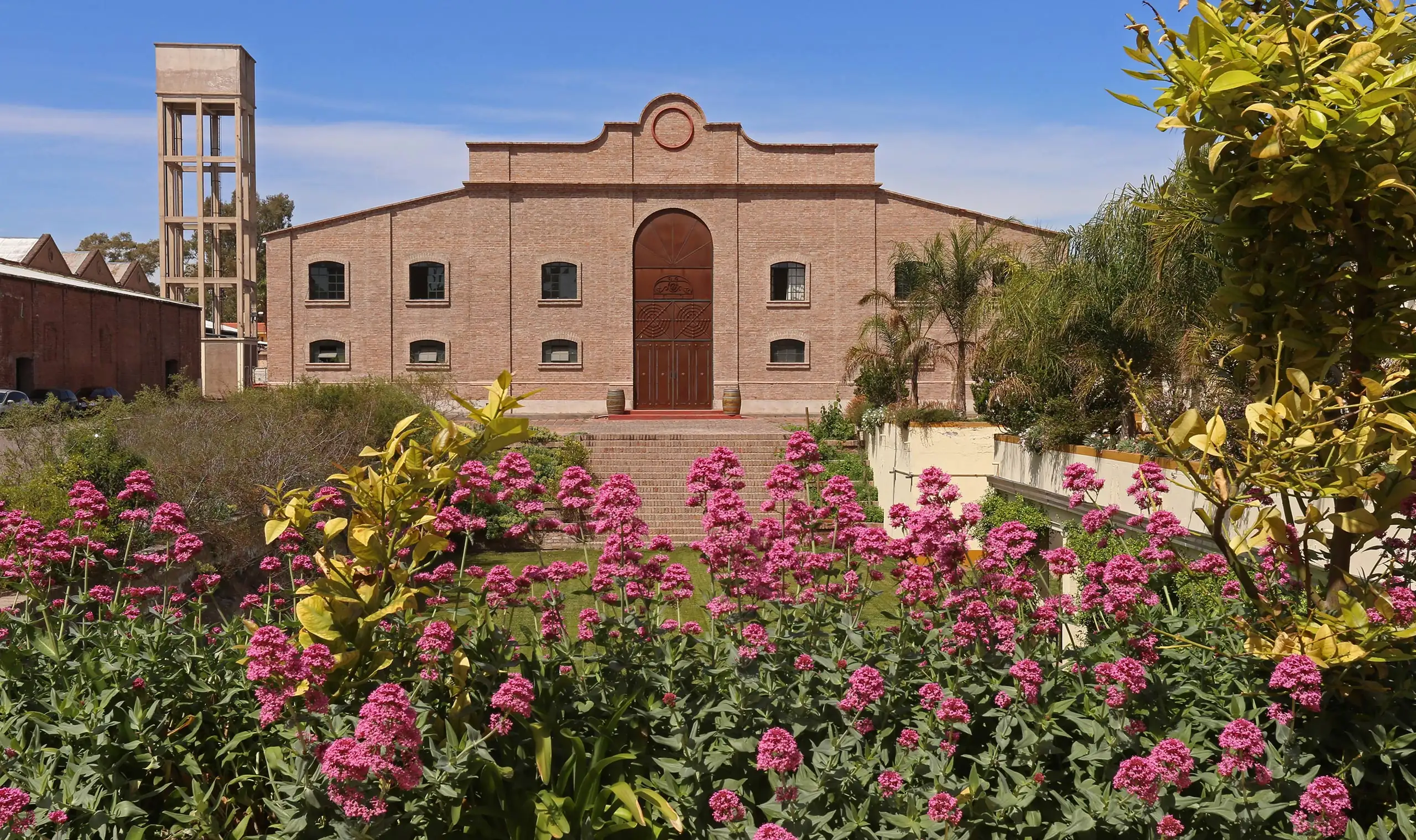 Brick winery building with a tall arched wooden door, behind pink flowers, at Escorihuela Gascón in Agrelo
