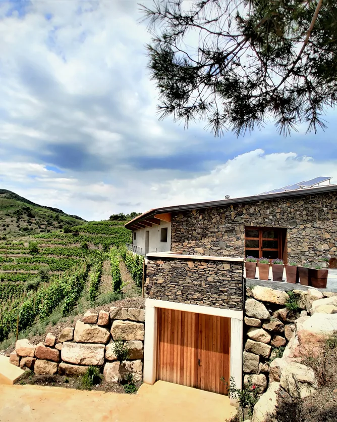 Familia Nin-Ortiz &mdash; verified Wine producer
