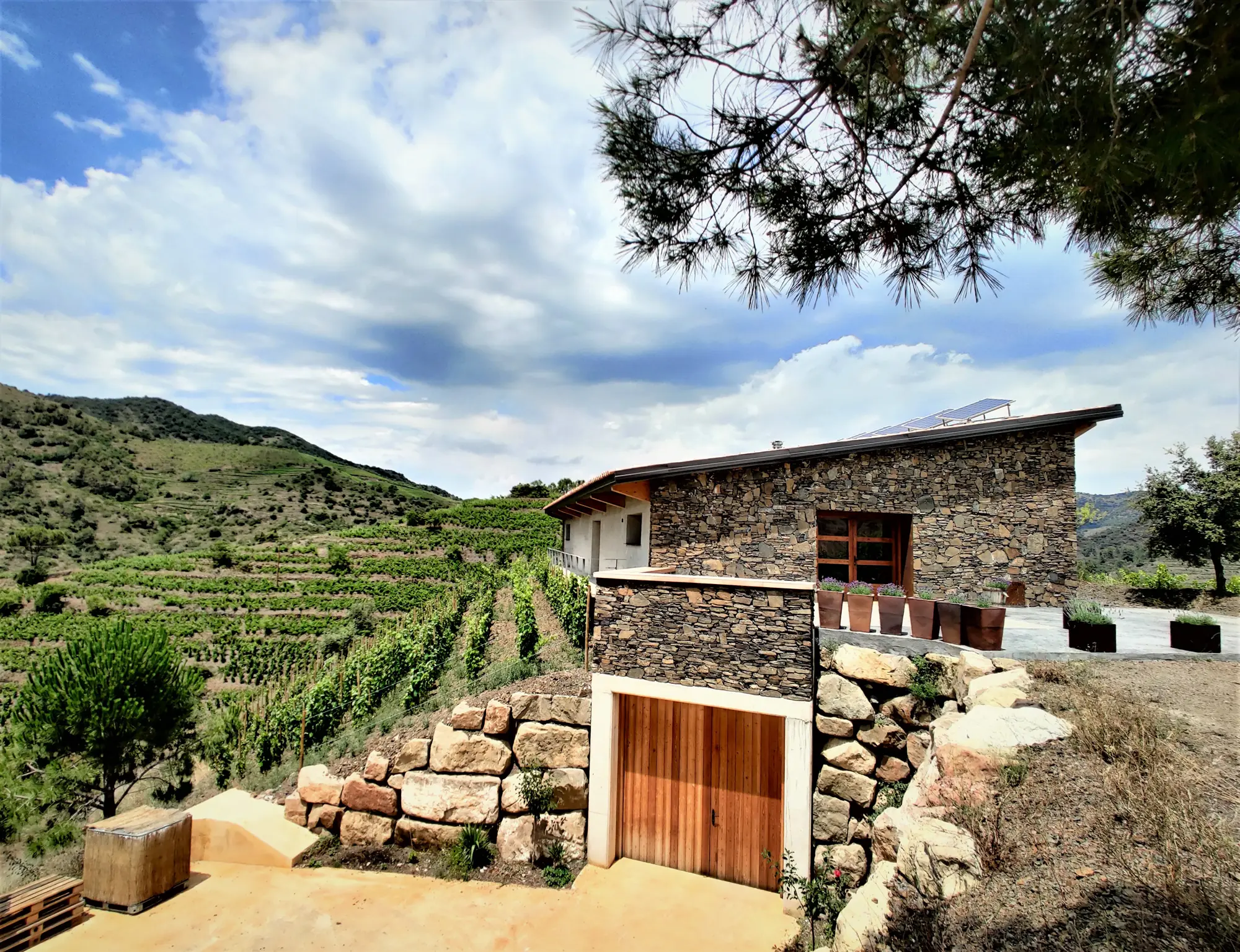 Stone cellar building with a wooden door above terraced vine rows on a hillside at Familia Nin-Ortiz in the Priorat
