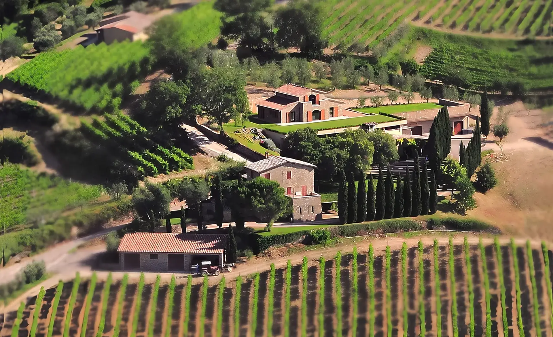 Aerial view of stone buildings with terracotta roofs among vine rows, cypress trees and olive groves