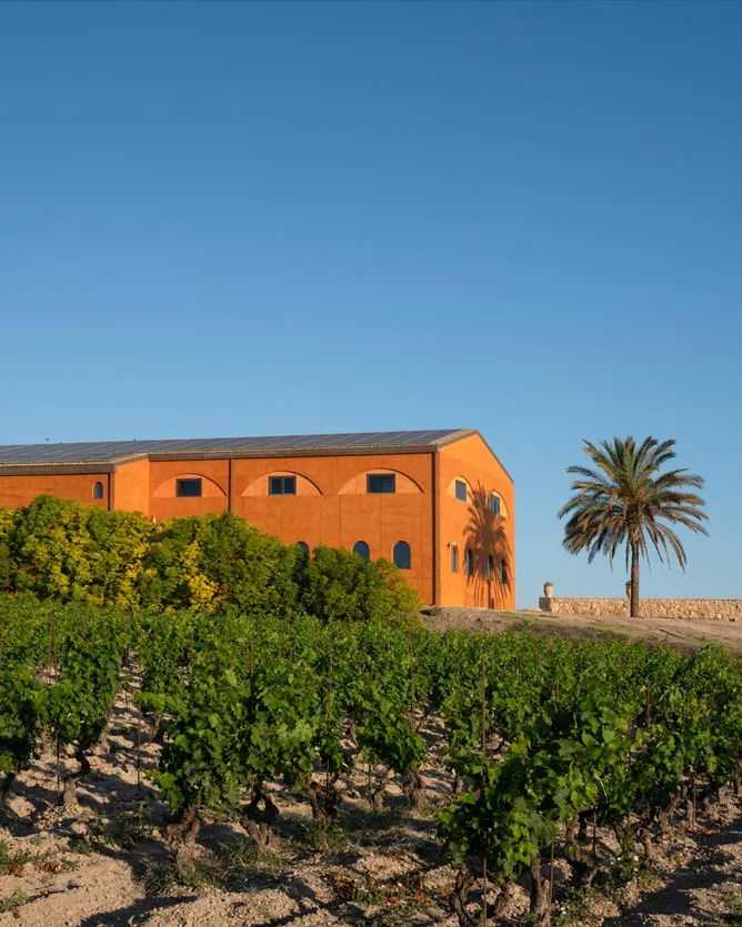 Feudo Maccari &mdash; verified Wine producer