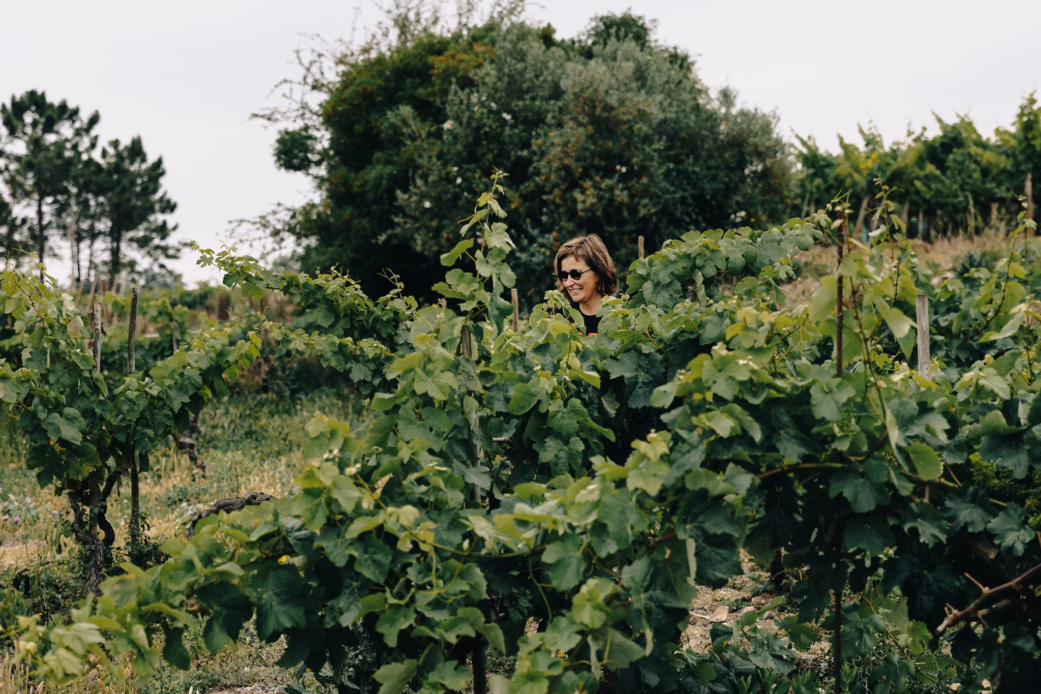 A woman in sunglasses smiling between rows of leafy vines, with pines and dark trees behind under a pale sky