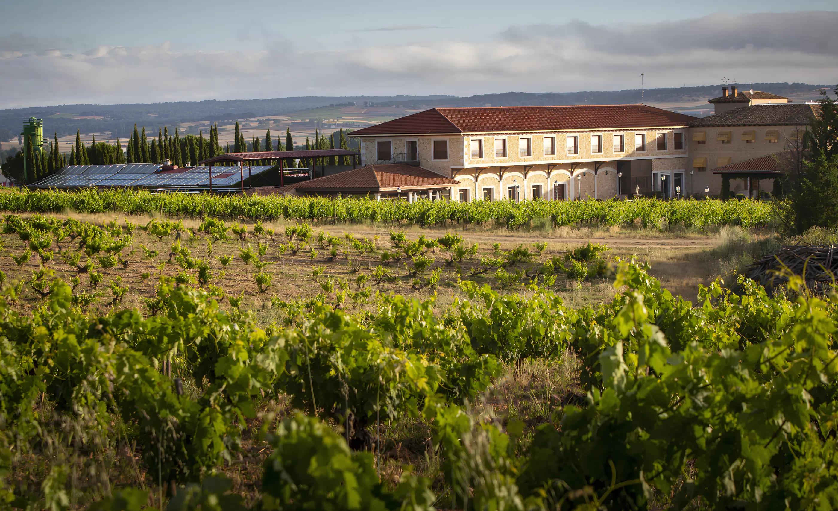 Two-storey house with a red tile roof and an arcade above green vines, cypresses at left, at Finca Torremilanos