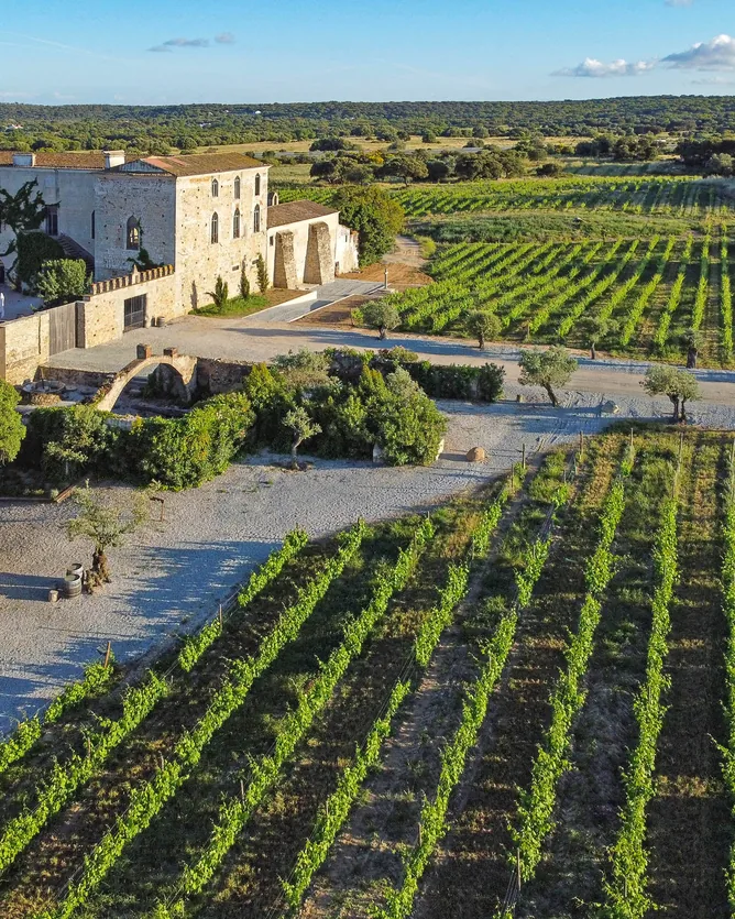 Fitapreta &mdash; verified Wine producer