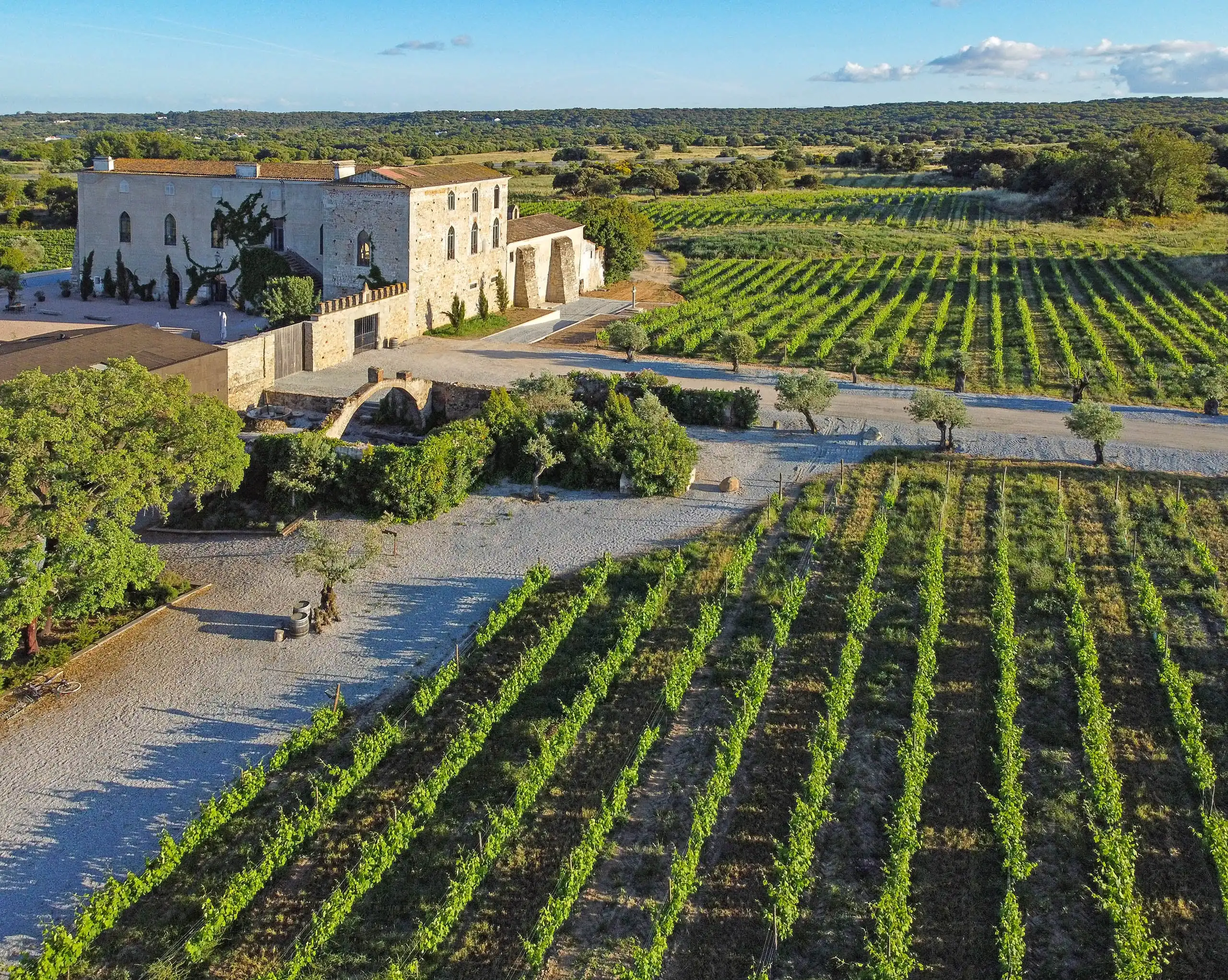An aerial view of a stone manor house with a gravel courtyard and olive trees beside rows of young vines