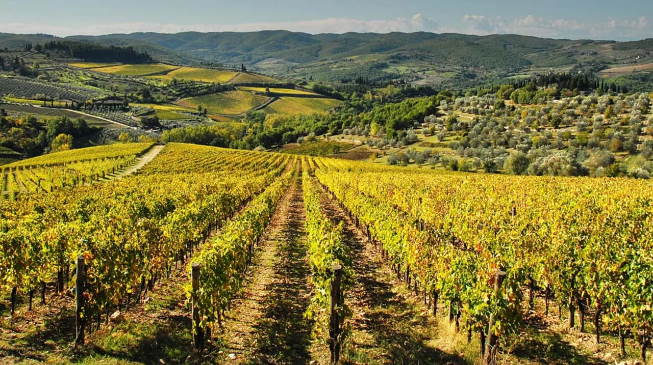 Fontodi