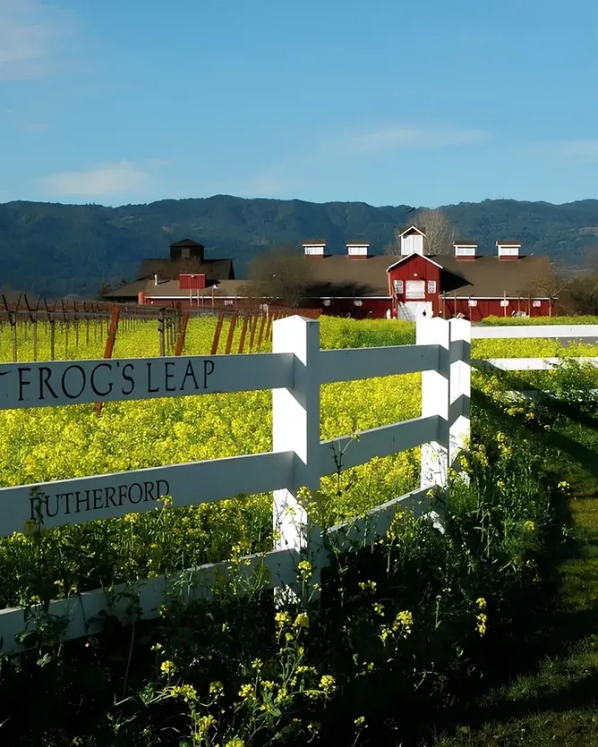 Frog's Leap Winery &mdash; verified Wine producer