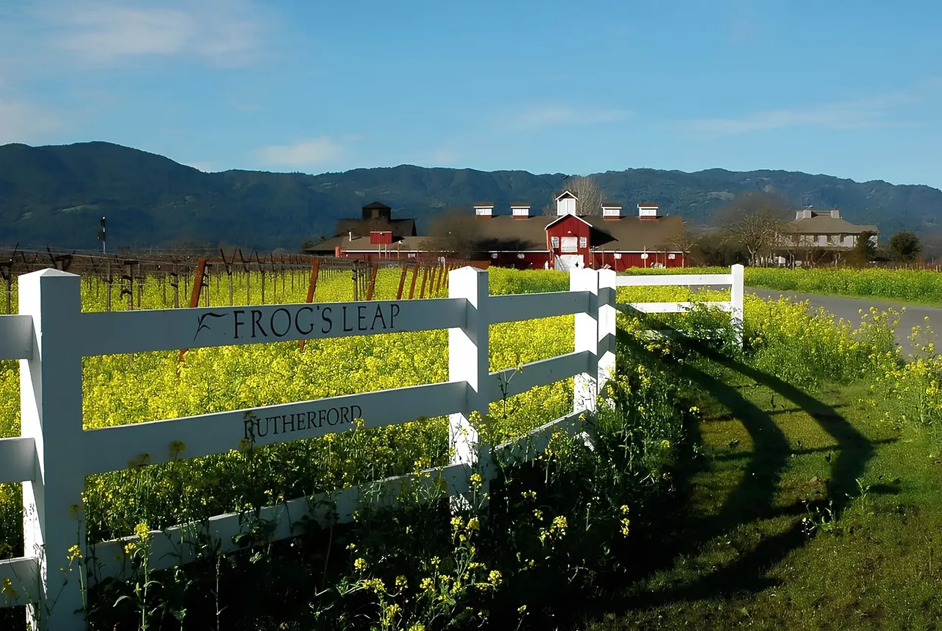 White fence lettered Frog's Leap Rutherford beside a field of yellow flowers, with a red barn-style building and hills behind
