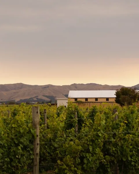 Fromm Winery &mdash; verified Wine producer