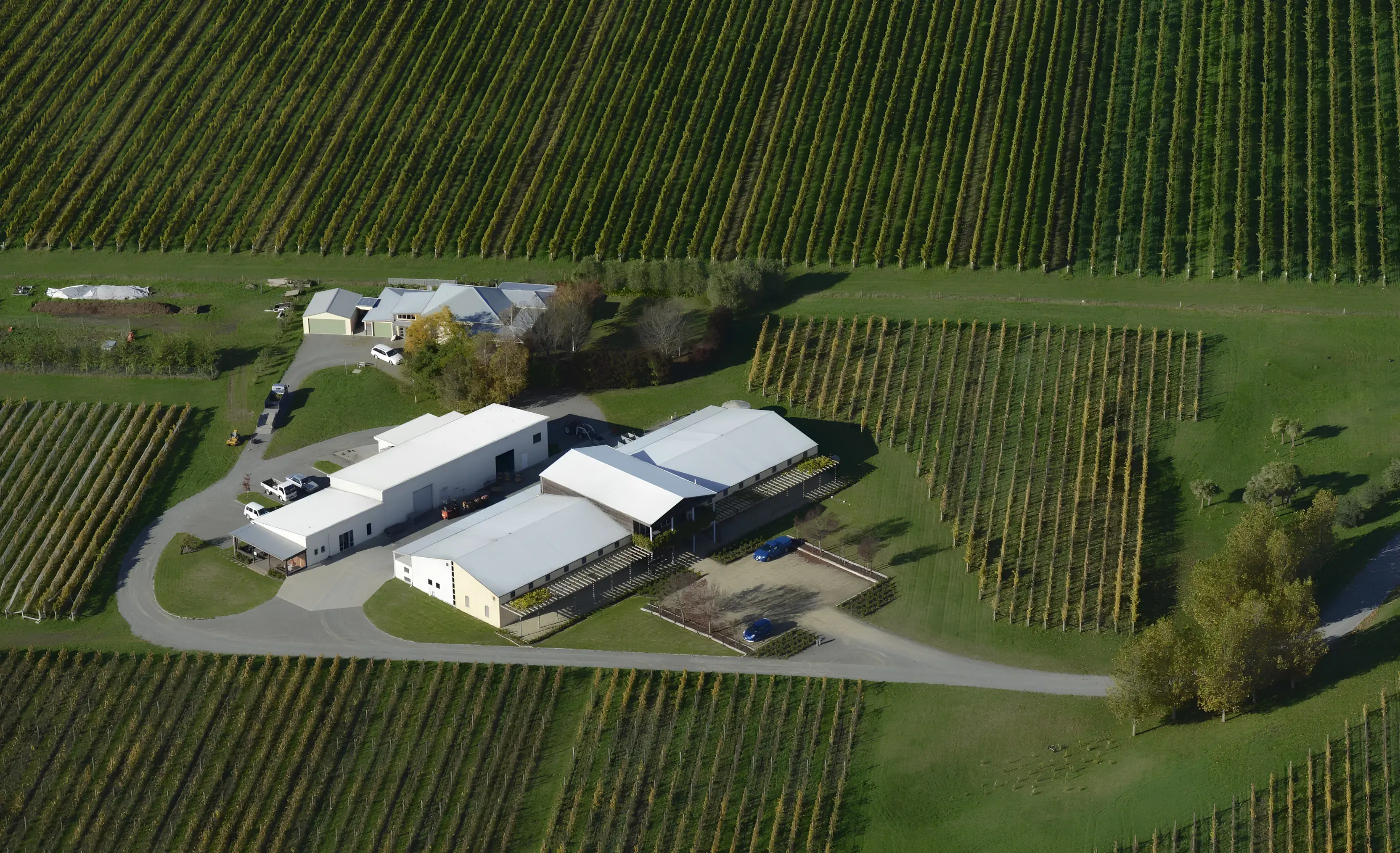 Aerial view of white-roofed winery sheds and a winding drive among vine blocks at Fromm Winery