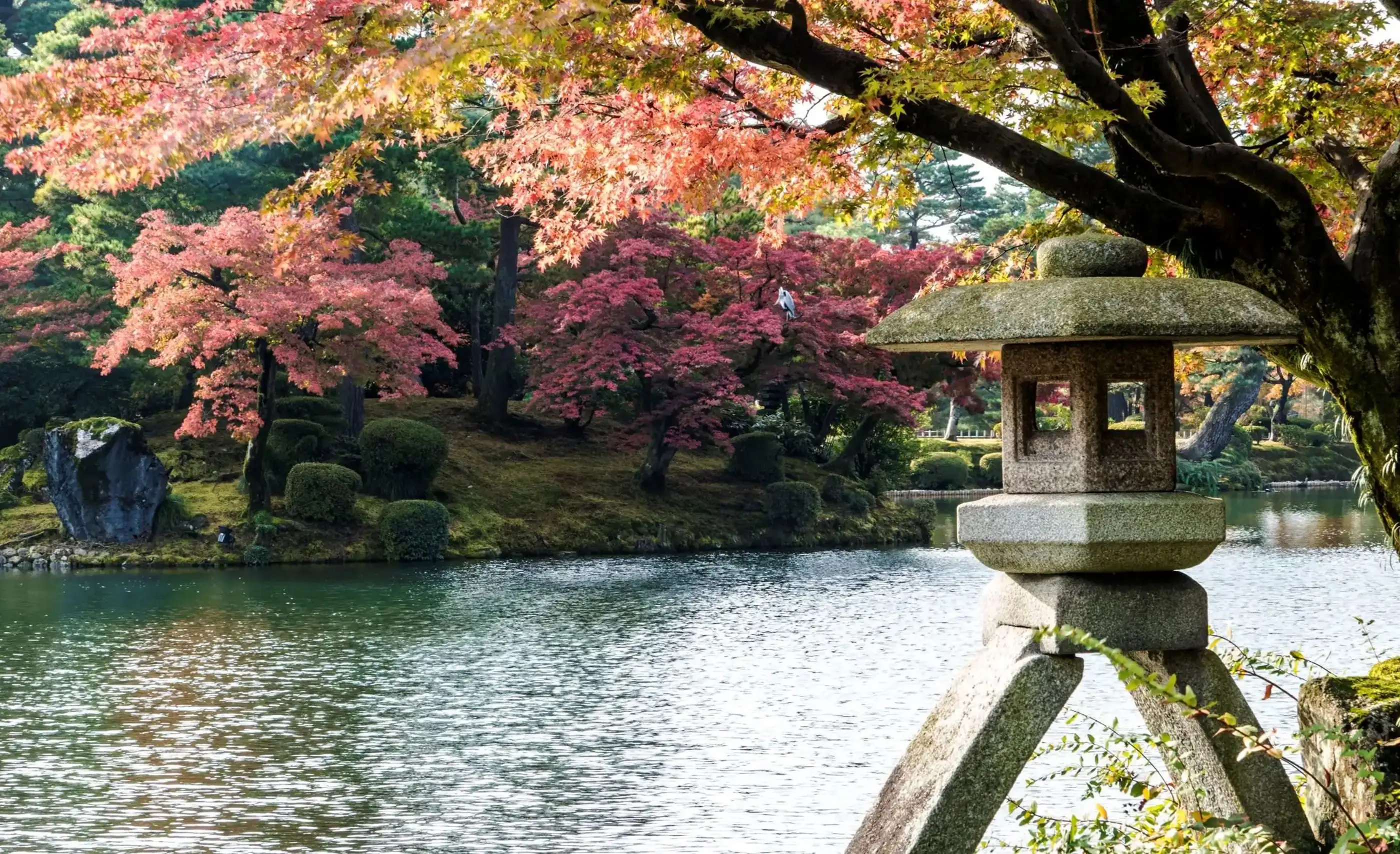 A stone lantern on two splayed legs beside a pond, with red and orange maple leaves over the water and moss-covered rocks