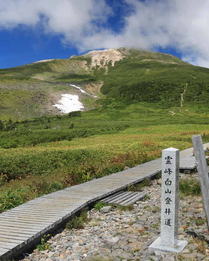 Fukumitsuya &mdash; verified Organic Junmai Sake producer