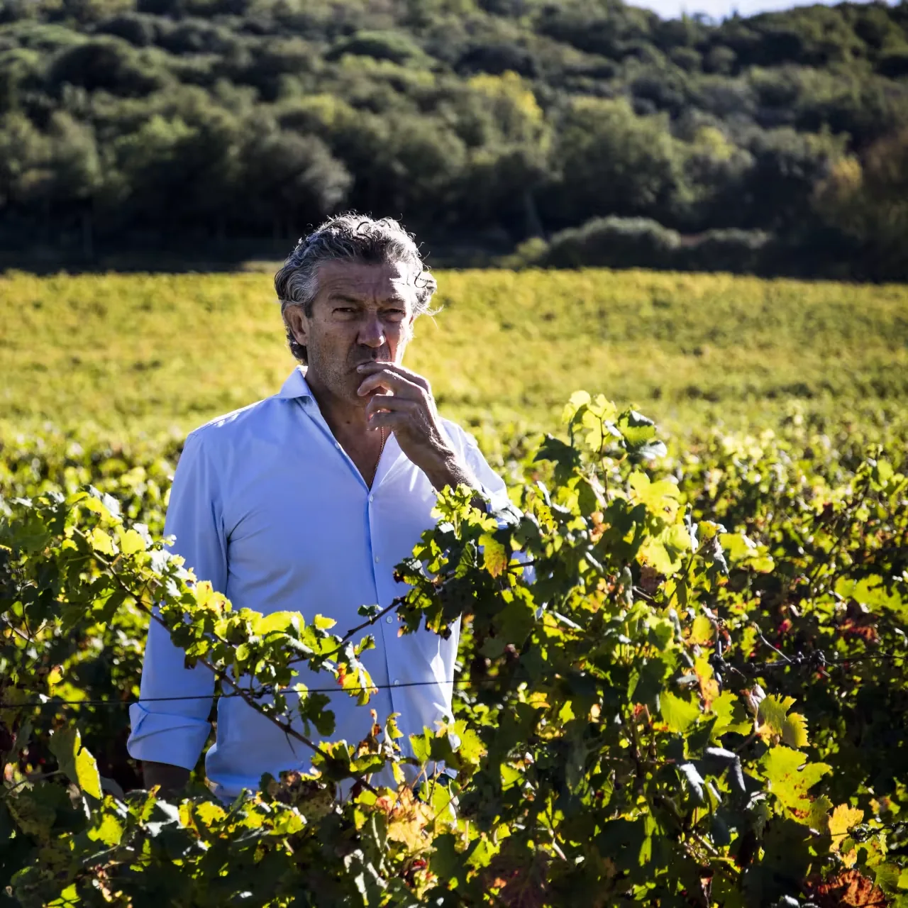 Gérard Bertrand