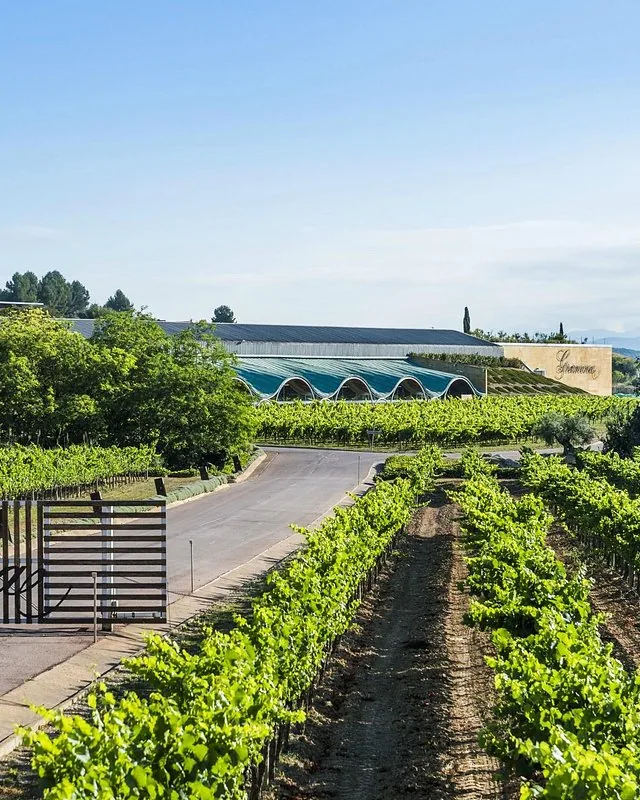 Gramona &mdash; verified Wine producer